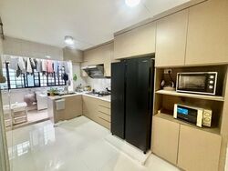 Blk 250A Compassvale Haven (Sengkang), HDB Executive #618684871